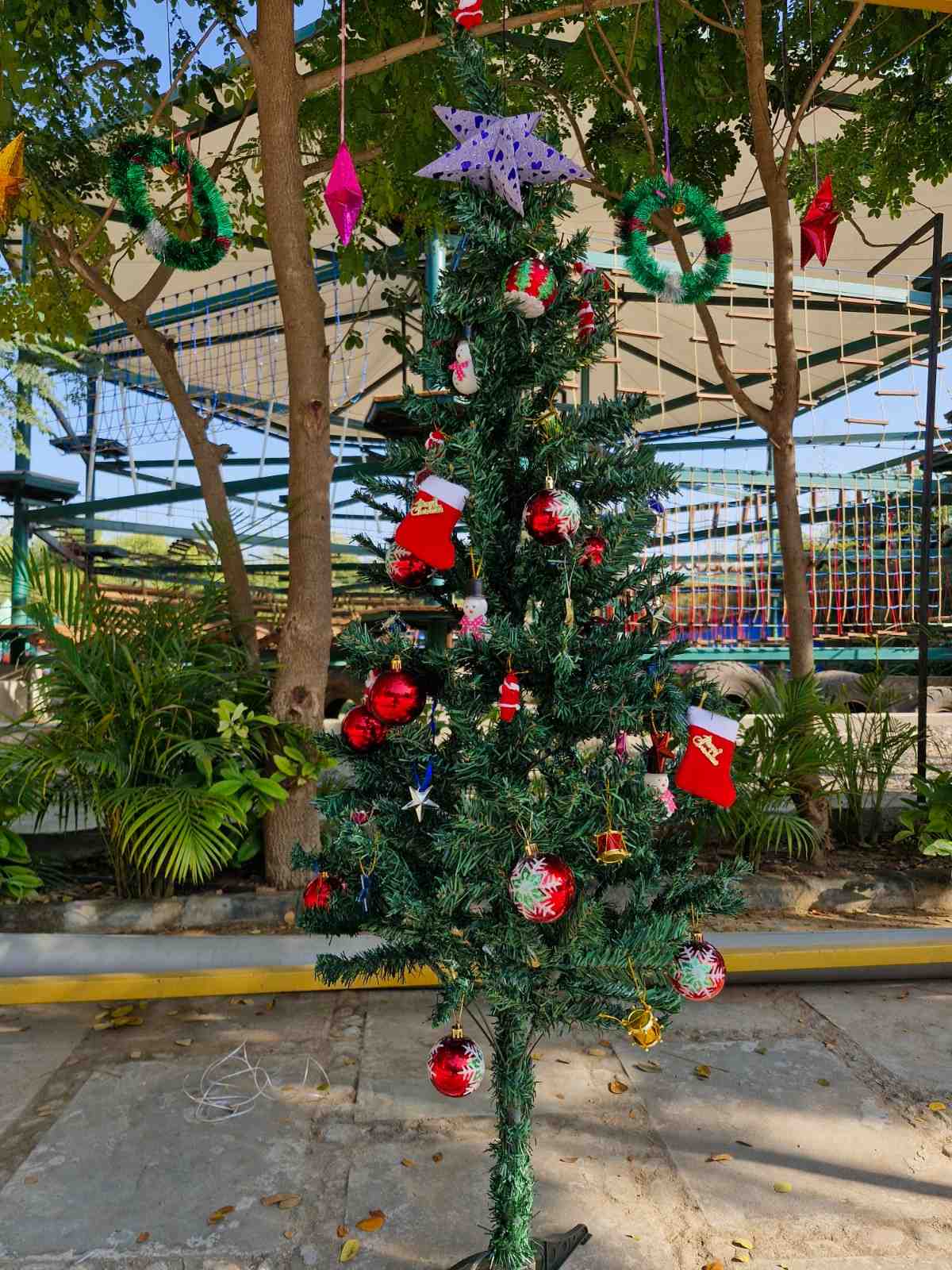 Decorated school Christmas tree with ornaments in outdoor setting