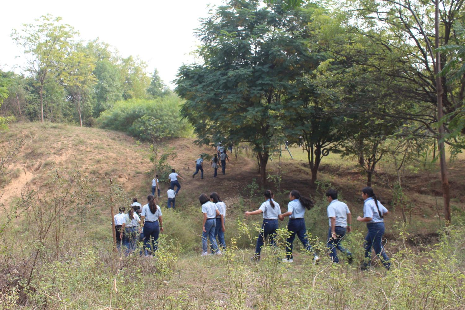 Students exploring nature trails at campsite
