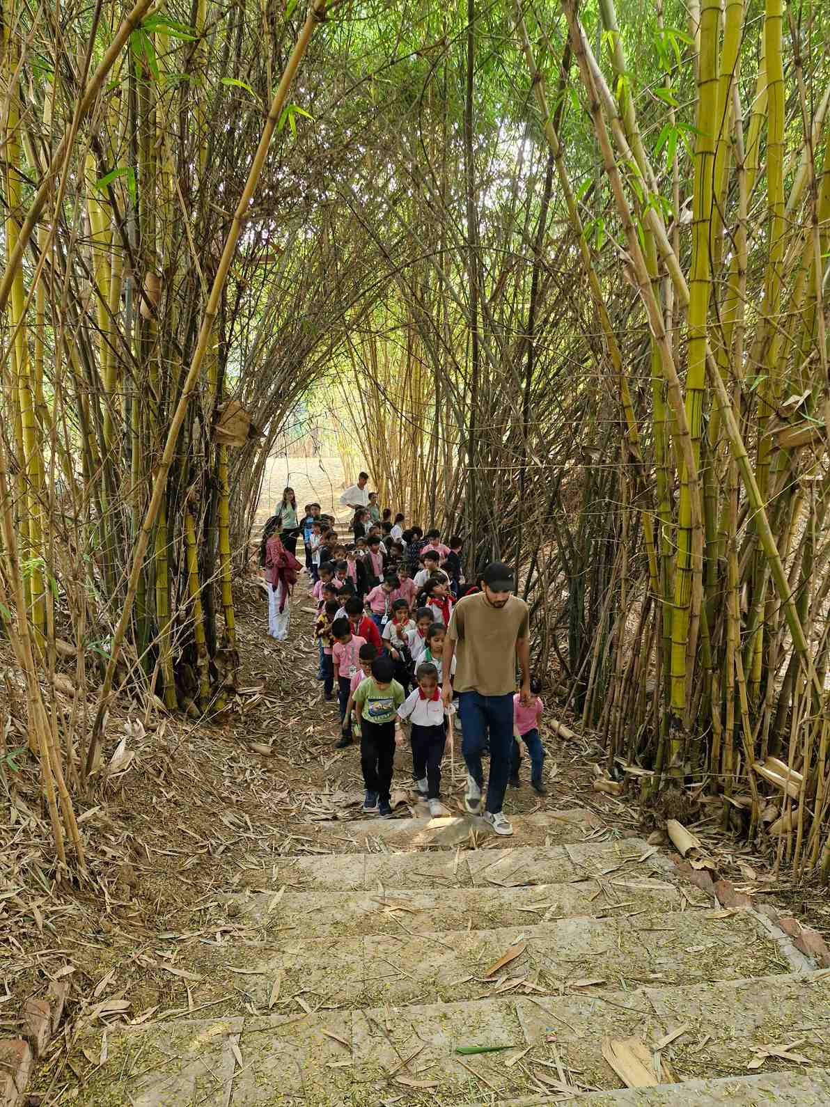 Instructor leading students through bamboo grove