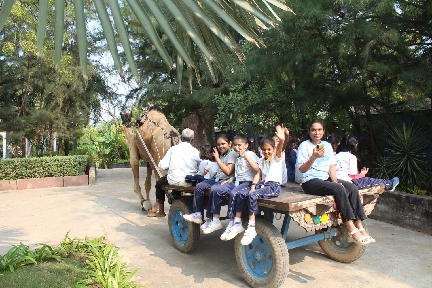 Happy students waving from camel cart