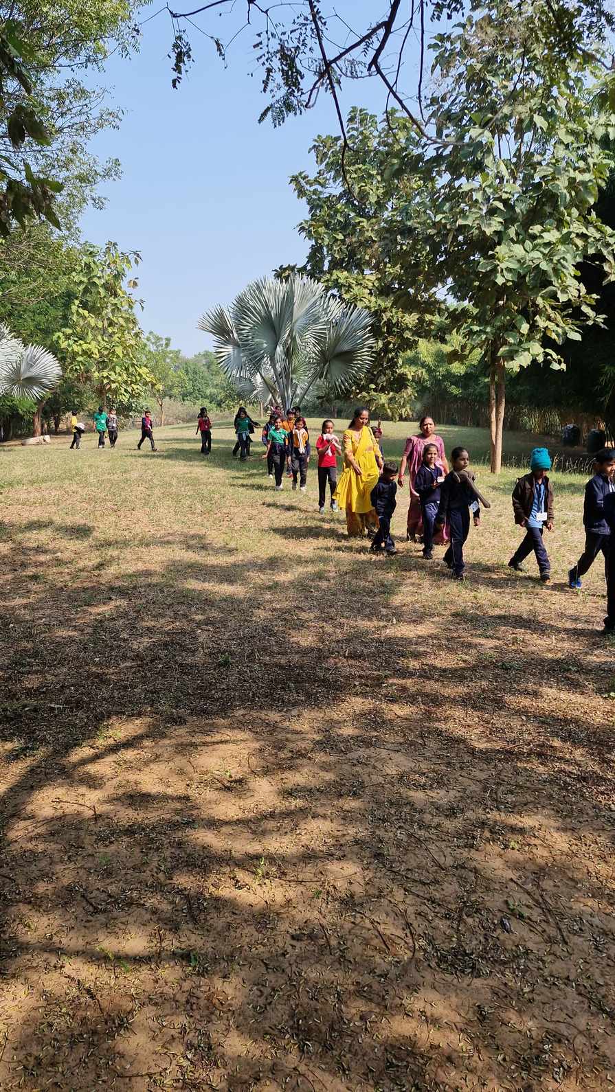 Group walking through open nature trail