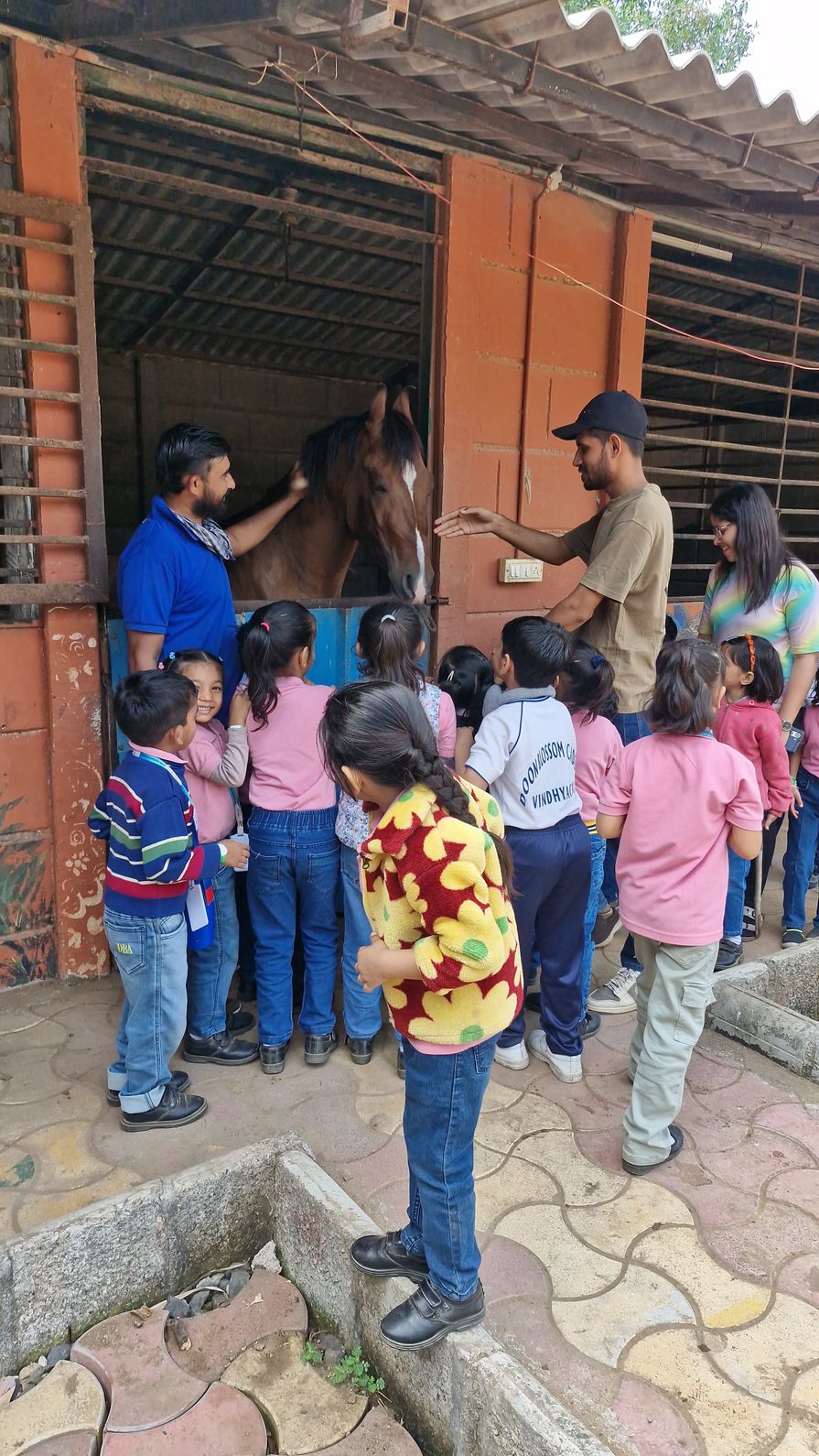 Students petting brown horse with instructor
