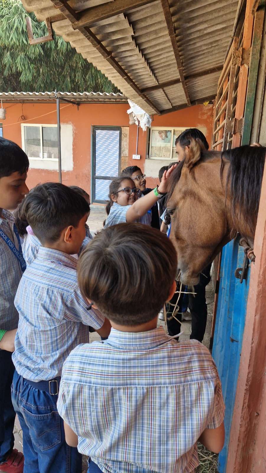 Kids petting a brown horse at the stable