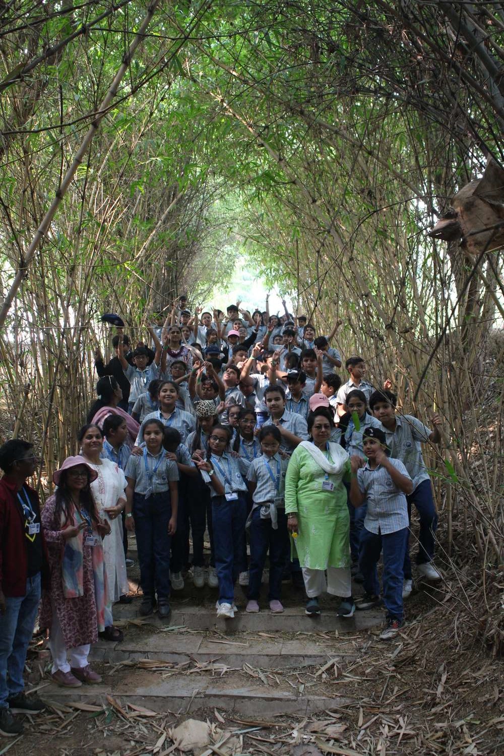 Students posing in scenic bamboo tunnel