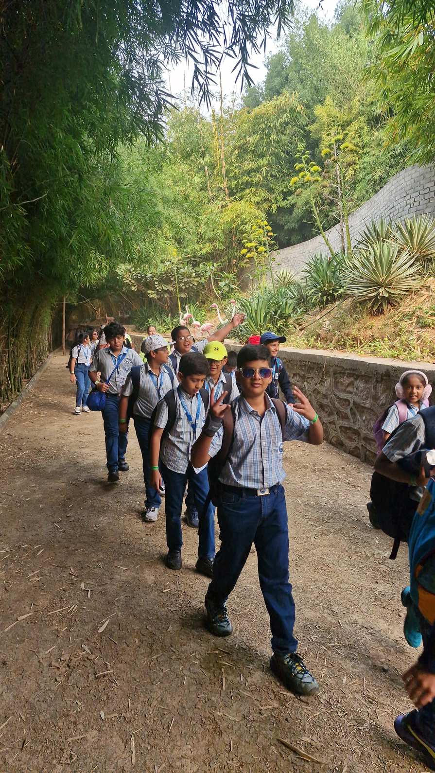 Students trekking near bamboo wall