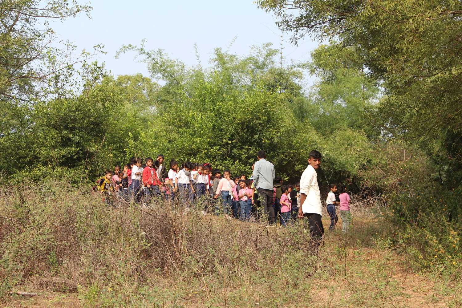 Students walking through natural brush and trees