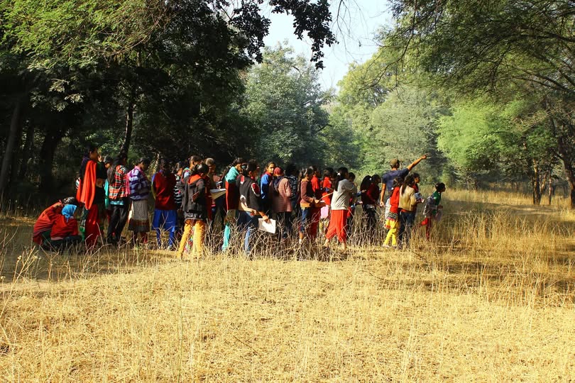 Students walking through dense trees on nature trail