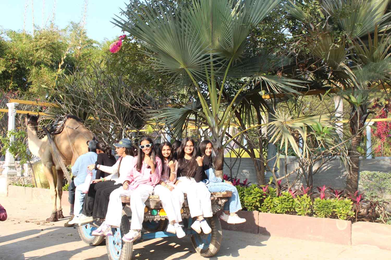 Smiling students posing for a photo on a camel cart