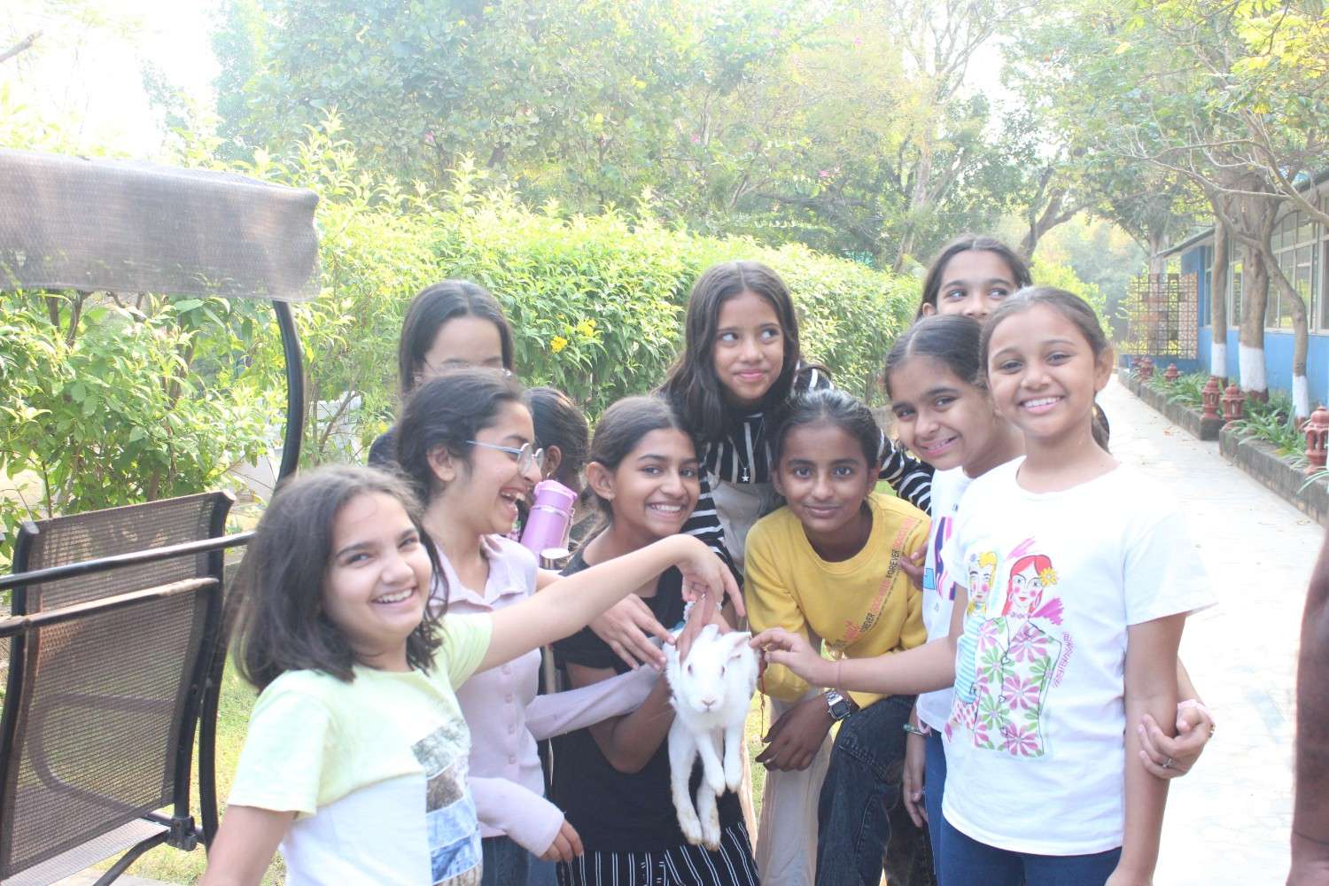 Students petting white rabbit