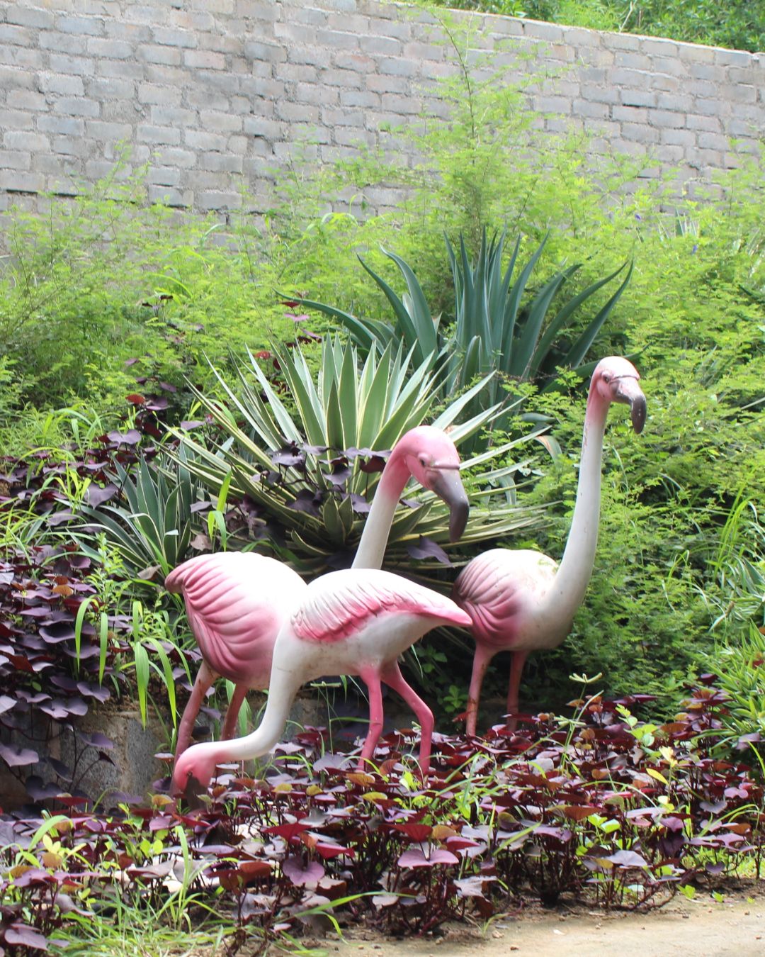 Group of pink flamingo statues in garden landscaping