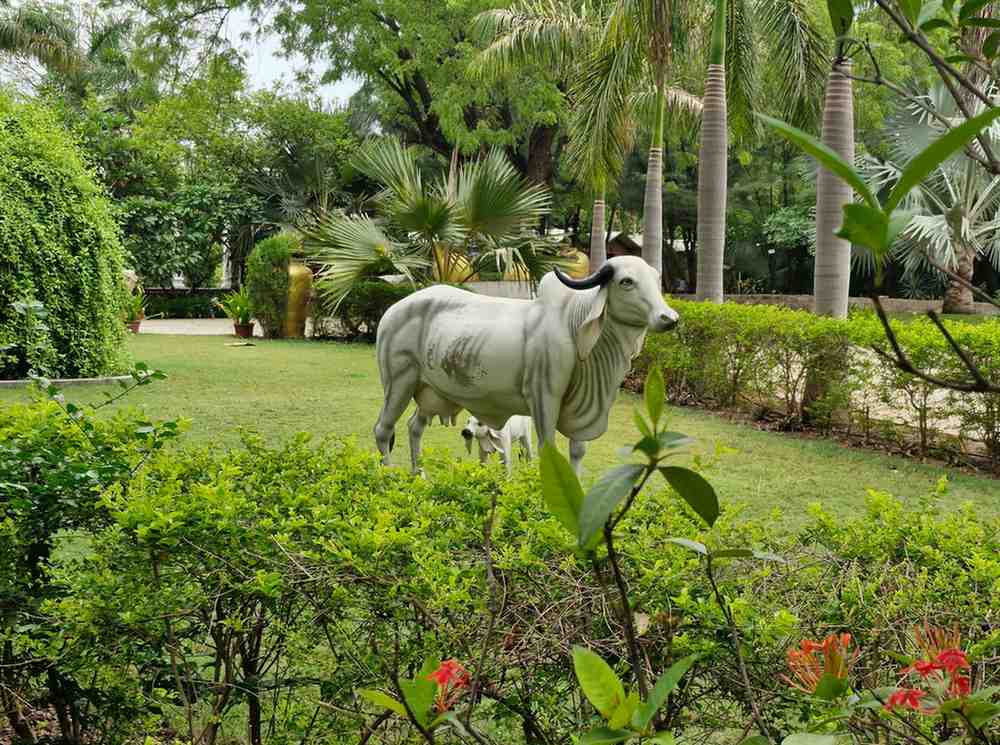 White Indian bull statue standing in lush green park